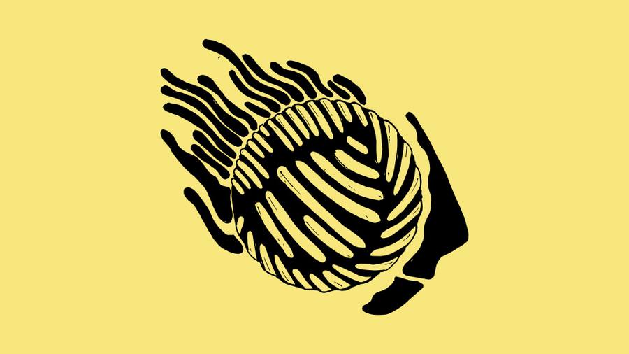 Absurd brand imagery